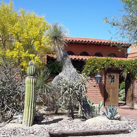 Desert Trails Bed & Breakfast Bed and Breakfast Tanque Verde Exterior foto