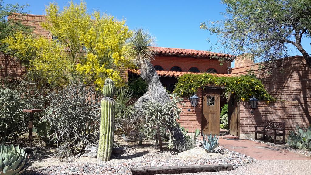 Desert Trails Bed & Breakfast Bed and Breakfast Tanque Verde Exterior foto